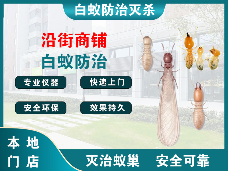 丰县沿街商铺白蚁防治