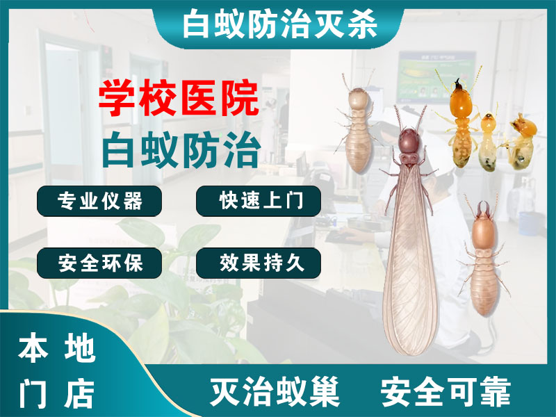 丰县学校医院白蚁防治