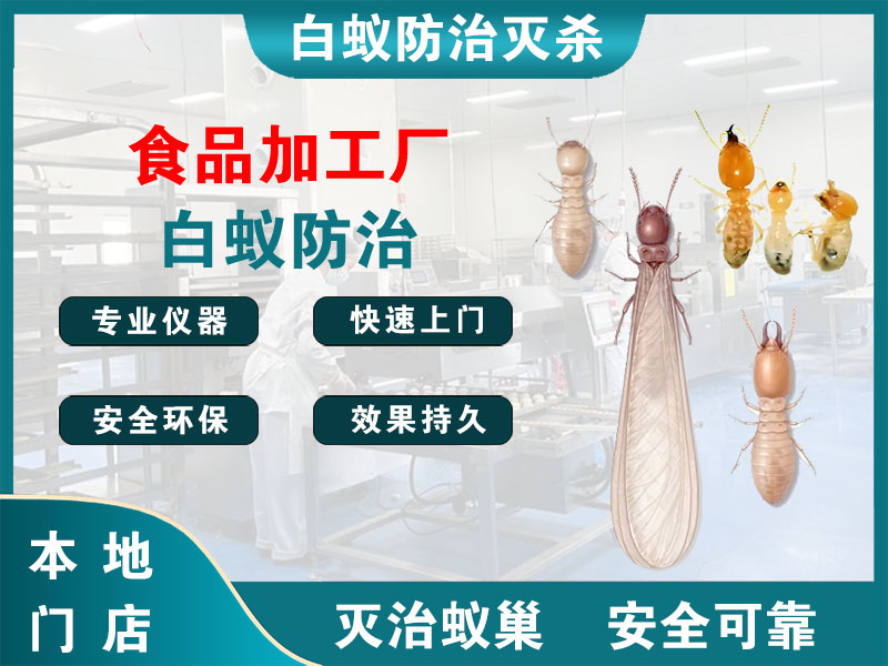 丰县食品加工厂白蚁防治