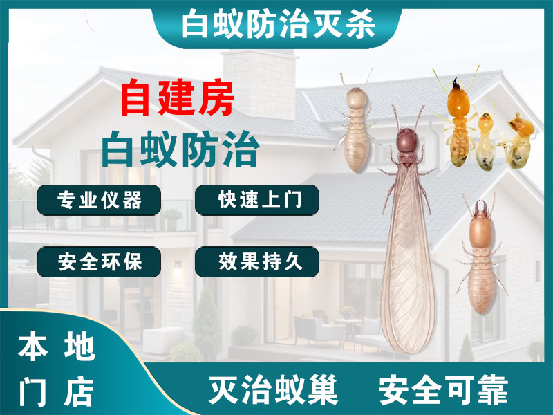 丰县自建房白蚁防治