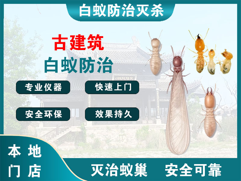 丰县古建筑白蚁防治